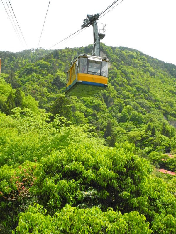 【岡山・倉敷発】 神戸で優雅にフレンチな休日 日帰り2